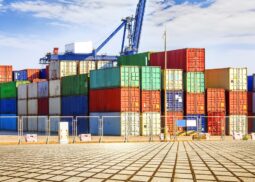 Import & Export Consultation in UK, Thailand, China, Vietnam, India - Sema London